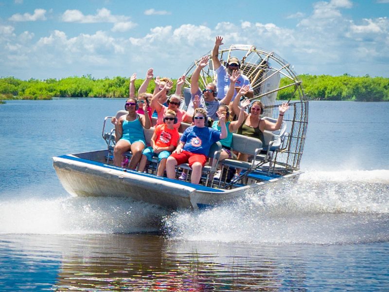 Jungle-Ervs-Wilderness-WOO-20-close-1x1-1